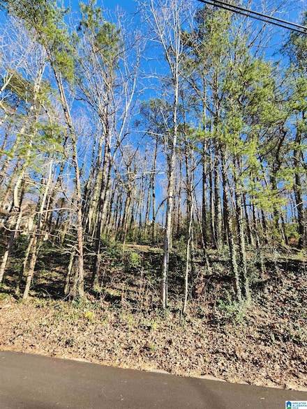 4437 Vicksburg Dr Unit 12, Birmingham, AL 35210