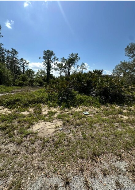 1327 St Augustine Dr, Poinciana, FL 34759