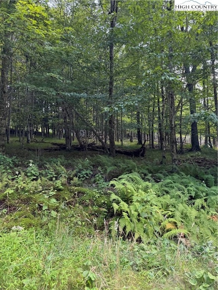 TBD Cranberry Ln, Beech Mountain, NC 28604