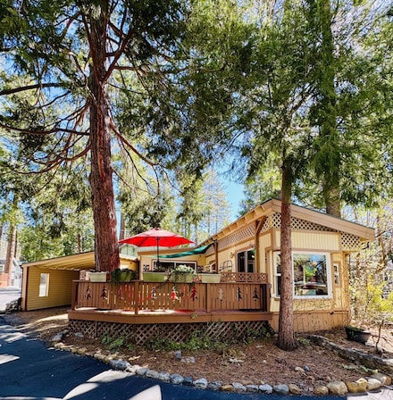 25955 Hwy 243 Unit 17, Idyllwild, CA 92549