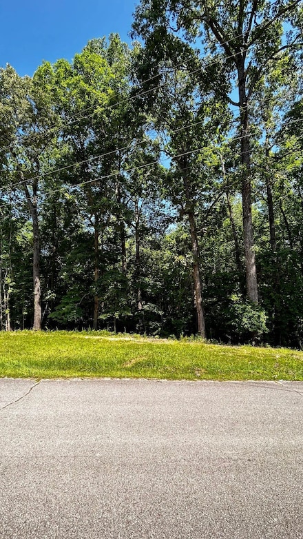 1020 Hopewell Dr, Saulsbury, TN 38067