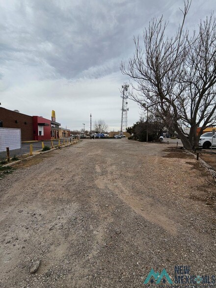316 S Canal St, Carlsbad, NM 88220
