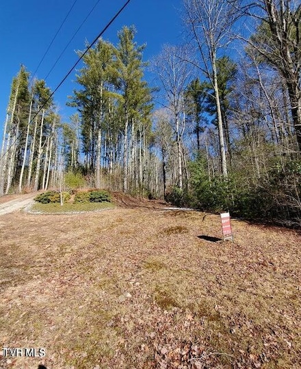 Tbd Heartwood Ln, Butler, TN 37640