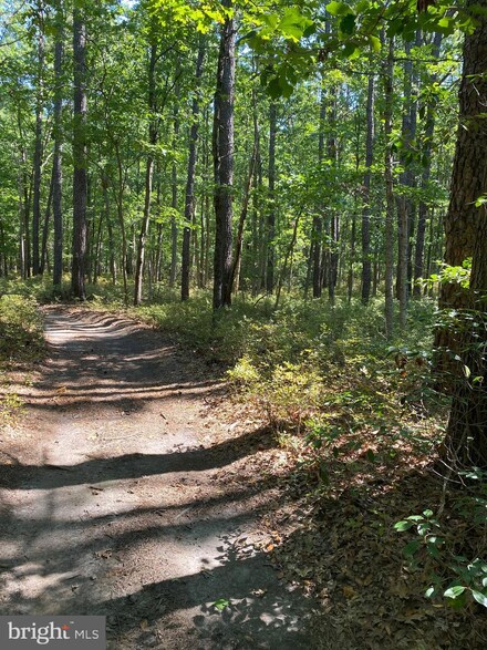 0 Trimmell Ave, Franklinville, NJ 08322