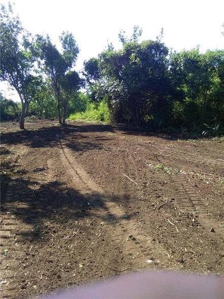 TBD Delacroix Hwy, St. Bernard, LA 70085