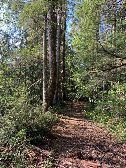 448 Lewis Rd W, Seabeck, WA 98380