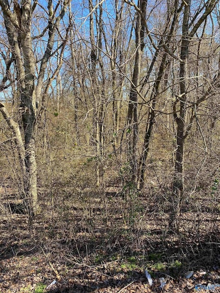 1.3 Acres County Road 460, Moulton, AL 35650
