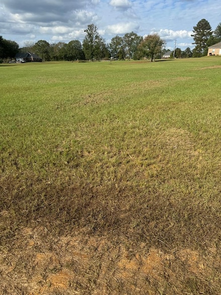 XXXX Twin Oaks Rd, McComb, MS 39648