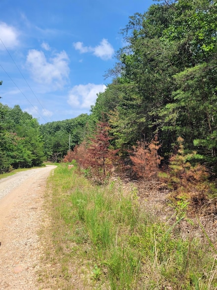 0 Christian Mill Creek Rd, Amherst, VA 24521