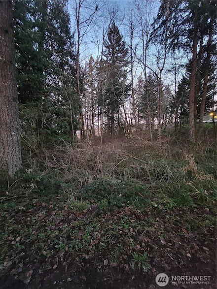 14308 86th Ave SE, Yelm, WA 98597
