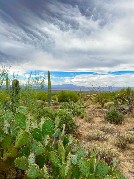 00 S Cattle Tank Rd, Marana, AZ 85658
