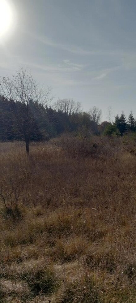 TBD Cricket Ln, Sevastopol, WI 54235