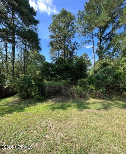 1114 Santa Lucia Dr, New Bern, NC 28560