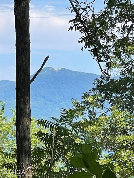 LOT 14 Panorama Forest Estates, Hayesville, NC 28904