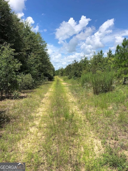 0 Buckeye Rd Unit 10350313, East Dublin, GA 31027