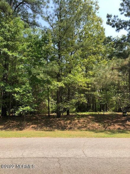 883 Sea Gull, Vass, NC 28394