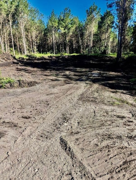 0 N Carolina 241, Pink Hill, NC 28572