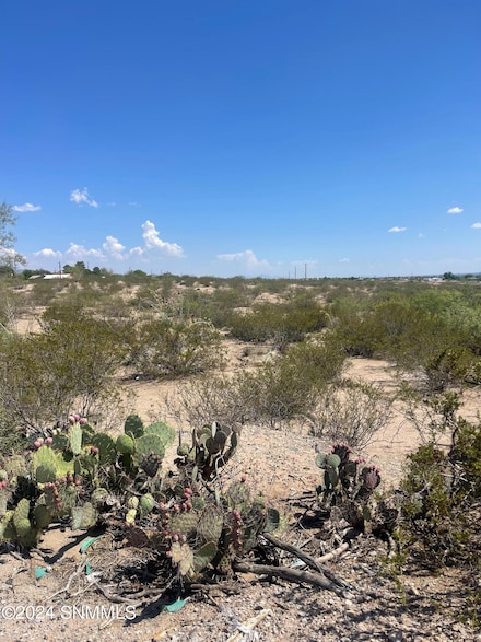 1600 Westmoreland Ave, Las Cruces, NM 88012