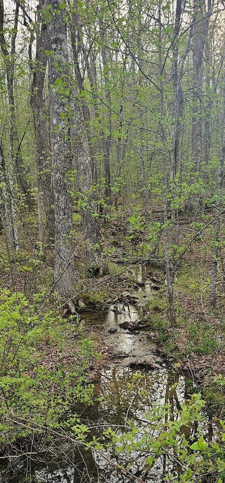Lot 7 E Overlook Rd, Monterey, TN 38574
