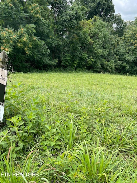 0 Overton Rd Lot 2 Rd, Maynardville, TN 37807