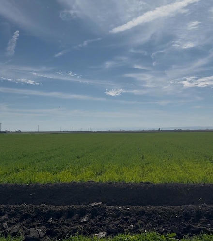 13051 Carlucci Rd, Dos Palos, CA 93620
