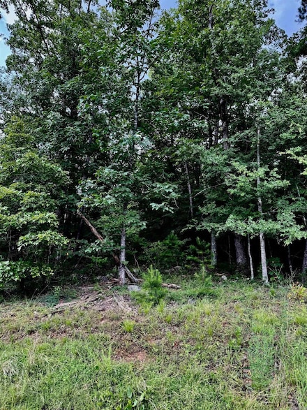 Lot 34 Primrose Creek, Heber Springs, AR 72543