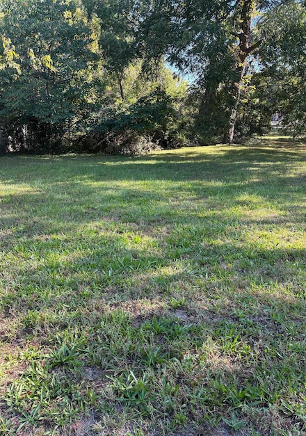 0 Palmetto St, Hot Springs, AR 71901