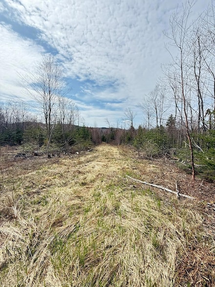 Lot 61 Taylor Woods Rd, Temple, ME 04984