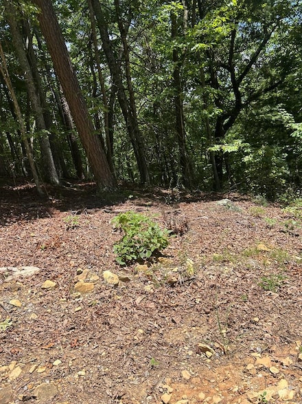 0 Skyview Acres Dr Unit 417622, Murphy, NC 28906