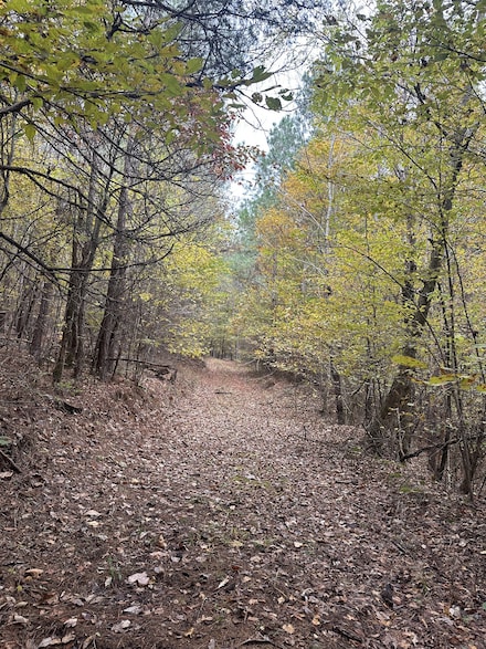 316 Arbor Rd, Linden, TN 37096