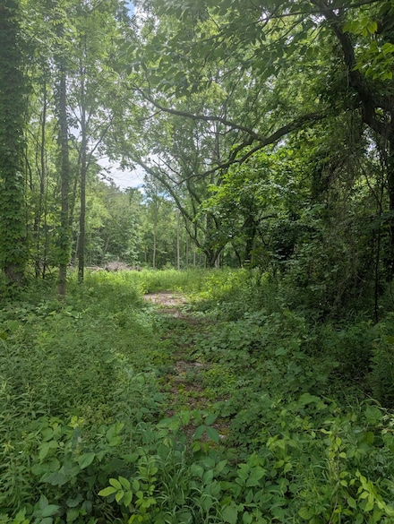 0 S M 43 Hwy, Bangor, MI 49013