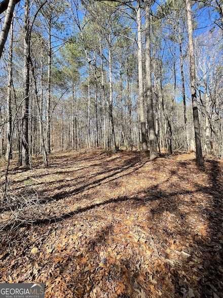 0 Cross Plains Hulett Rd Unit 10466887, Carrollton, GA 30116