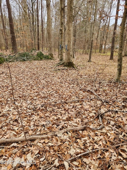 146 Tranquility Ln, Hertford, NC 27944