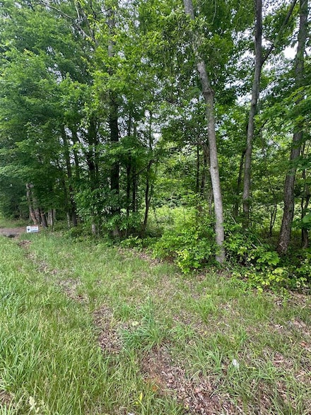 4711 Caneyville Rd, Provo, KY 42261