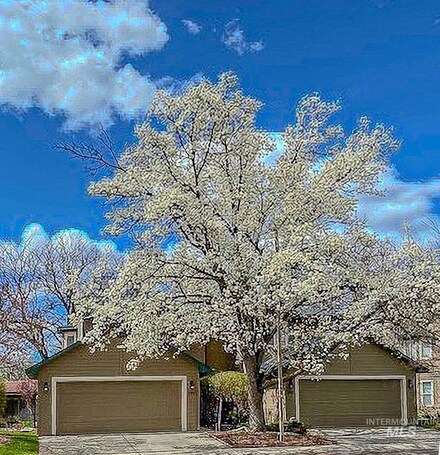 7951 W Queen Ct, Boise, ID 83704