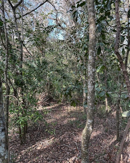 0 Lucilles Shady Ln, Brooksville, FL 34601