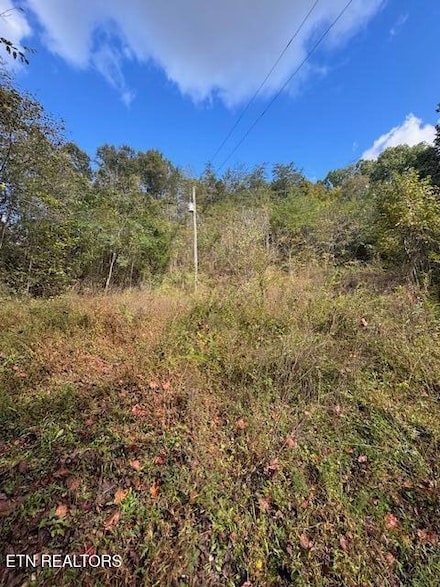 0 Chapman Hwy Unit 1296609, Seymour, TN 37865