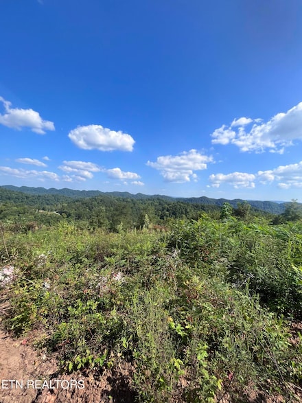 0 Tower Rd Unit 1275180, Tazewell, TN 37879
