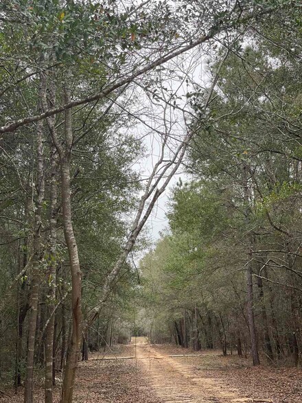 Lot 11 Walling Rd, Jay, FL 32565