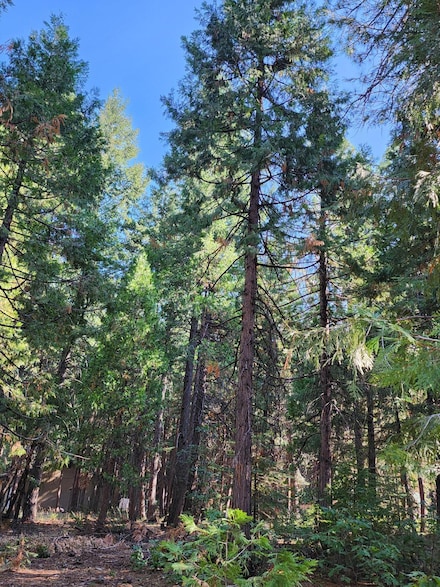 Lot 61 Starlite Pines Rd, Shingletown, CA 96088