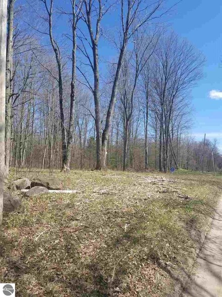 78 N Coe Rd, Luther, MI 49656