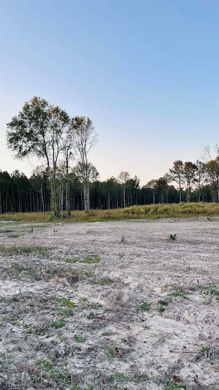 16361 Peacock Dr, Walker, LA 70785