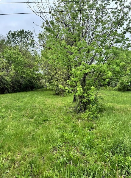 0 Elwood Ave Unit Lot 9 225014592, Columbus, OH 43207
