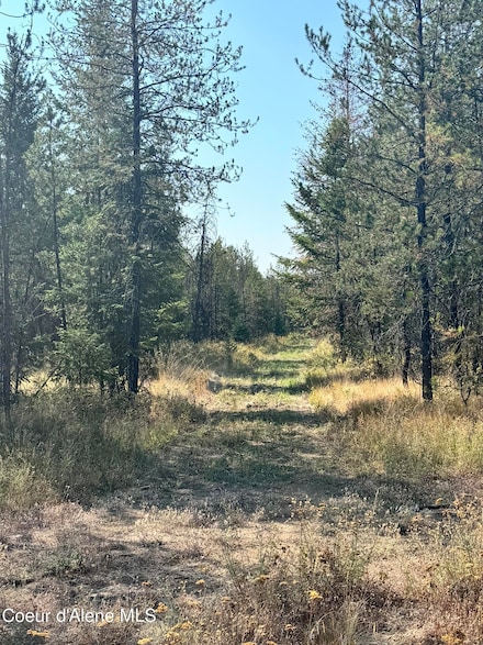 NNA 10acs Sky Meadow Stone Pine Rd, Priest River, ID 83856