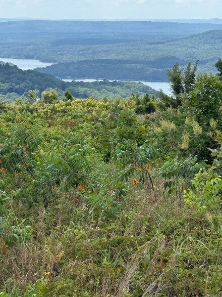0 Alum Cave Rd Unit 25024820, Davis Township, AR 72013