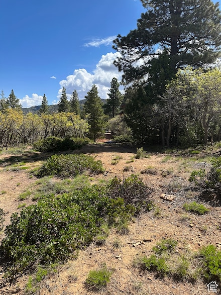 0 Bonnie Green Dr Unit 33 2102714, Duck Creek, UT 84762