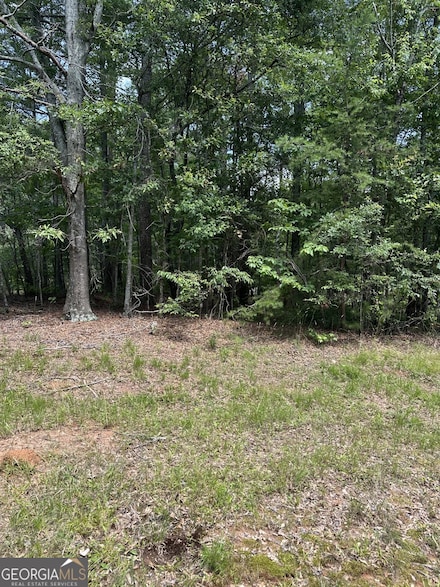 4583 Bennett Rd, Buford, GA 30519