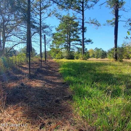 000 Tim Bradley Rd, Saucier, MS 39574