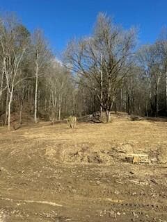 40.41 Chestnut Valley Rd, Vonore, TN 37885