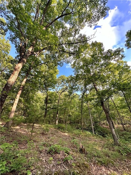 TBD 11.42 Acres Slaty Gap Rd, West Fork, AR 72774